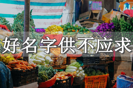 店鋪起名字大全免費(fèi)寓意好的店名